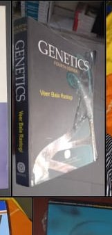 Genetics (4th Edition)