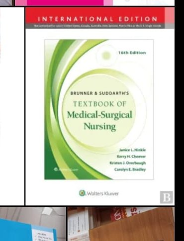 Brunner & Suddarth's Textbook of Medical-Surgical Nursing (16th Ed)